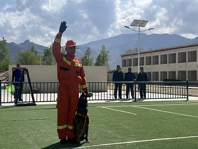 公安部消防救援局副总队长指导搜救犬训练工作，提升实战能力