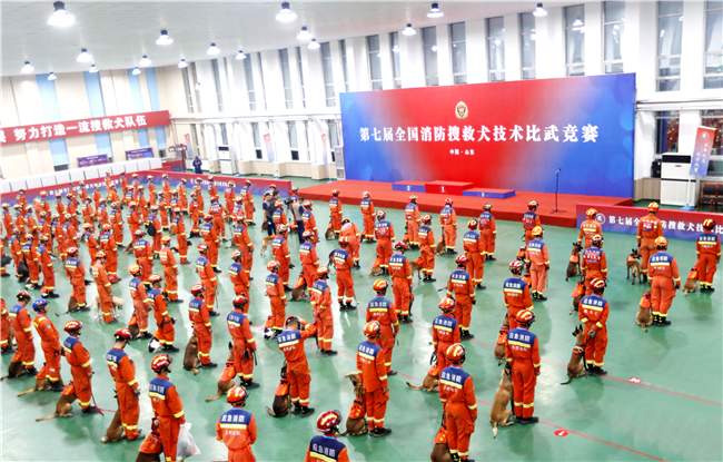 第七届全国消防搜救犬比武竞赛圆满收官