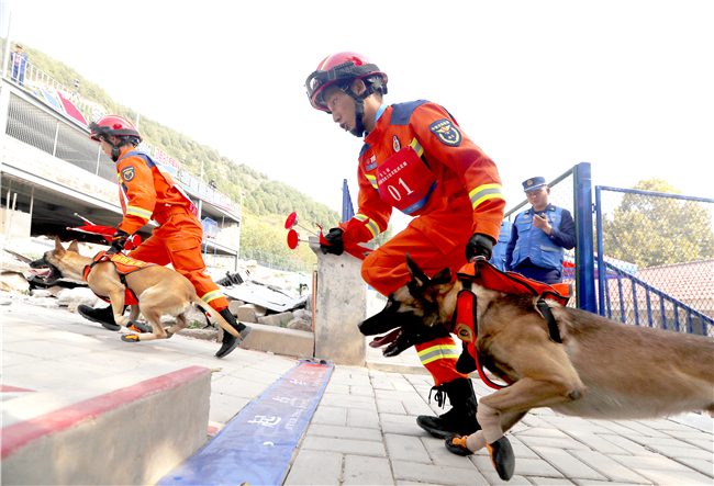 第七届全国消防搜救犬比武竞赛圆满收官