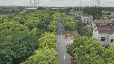 上海消防开展地震灾害救援实战演练 提升应急能力