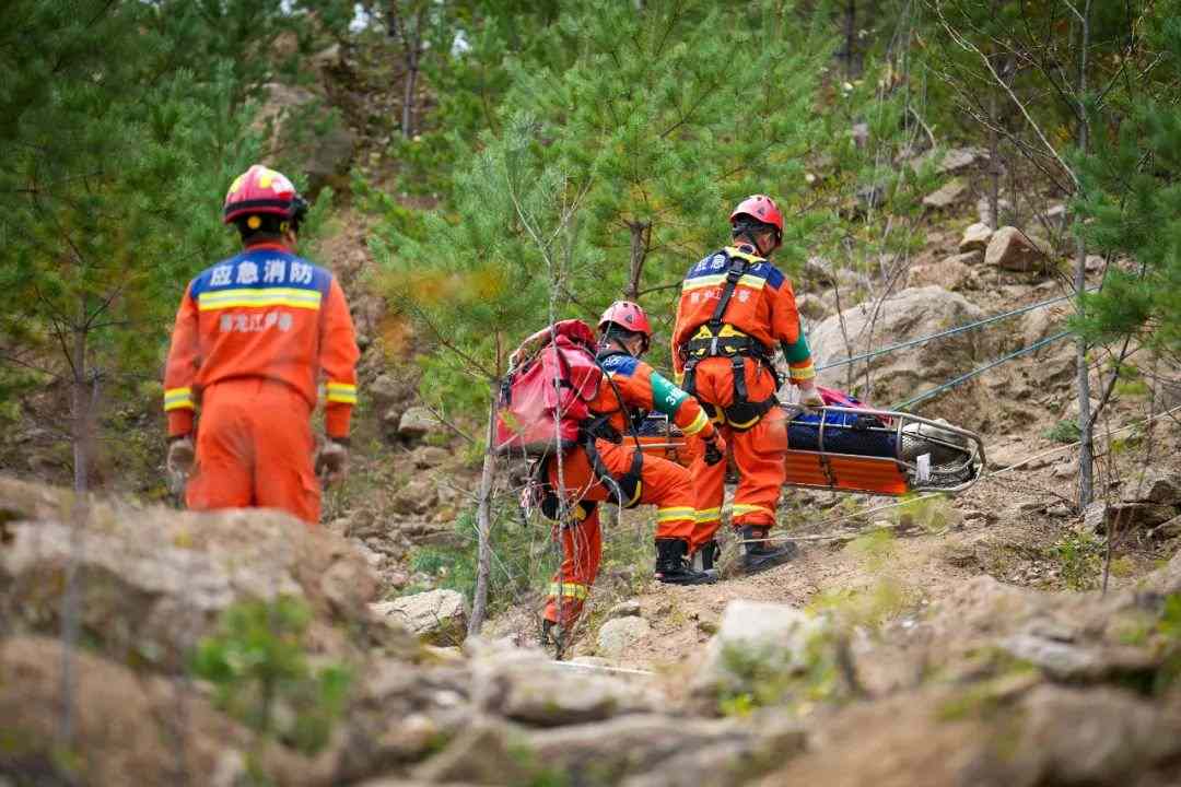 黑龙江省消防救援跨区域山地救援演练强化实战能力