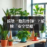 拆除“隐形炸弹”? 解除“安全警报”(图1) 拆除“隐形炸弹”? 解除“安全警报”(图1)