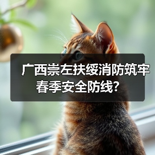 广西崇左扶绥消防筑牢春季安全防线?（图3）