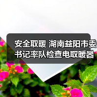 安全取暖 湖南益阳市委书记率队检查电取暖器销售市场(图3) 安全取暖 湖南益阳市委书记率队检查电取暖器销售市场(图3)