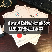 电缆燃烧性能检测技术达到国际先进水平（图3）