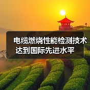 电缆燃烧性能检测技术达到国际先进水平（图4）