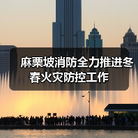 麻栗坡消防全力推进冬春火灾防控工作（图3）