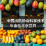 中国消防协会科学技术年会在北京召开（图2）