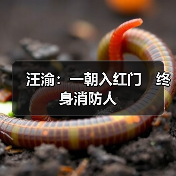 汪渝：一朝入红门　终身消防人（图1）