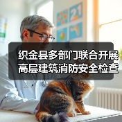 织金县多部门联合开展高层建筑消防安全检查（图2）