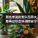 百色市消防支队召开大型商业综合体消防安全综合整治工作约谈会（图4）