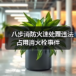 八步消防火速处理违法占用消火栓事件（图2）