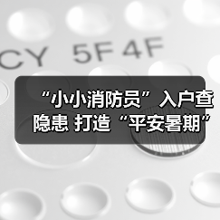 “小小消防员”入户查隐患 打造“平安暑期”（图3）