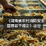 《湖南省农村消防安全管理若干规定》出台(图3) 《湖南省农村消防安全管理若干规定》出台(图3)