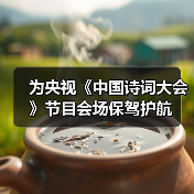 为央视《中国诗词大会》节目会场保驾护航（图4）