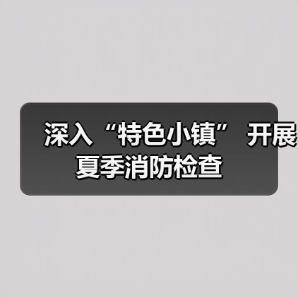 深入“特色小镇” 开展夏季消防检查（图2）