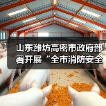 山东潍坊高密市政府部署开展“全市消防安全大排查大整治”工作(图2) 山东潍坊高密市政府部署开展“全市消防安全大排查大整治”工作(图2)