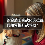 织金消防实战化岗位练兵如何提升战斗力?(图2) 织金消防实战化岗位练兵如何提升战斗力?(图2)