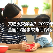 文物火灾频发?2017年全国17起事故背后隐藏哪些安全隐患?(图2) 文物火灾频发?2017年全国17起事故背后隐藏哪些安全隐患?(图2)