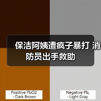 保洁阿姨遭疯子暴打 消防员出手救助（图4）