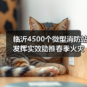 临沂4500个微型消防站发挥实效助推春季火灾防控（图3）