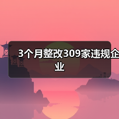 3个月整改309家违规企业(图2) 3个月整改309家违规企业(图2)