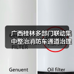 广西桂林多部门联动集中整治消防车通道治理行动（图4）