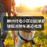 柳州住宅小区创新举措破解消防车通道难题（图3）