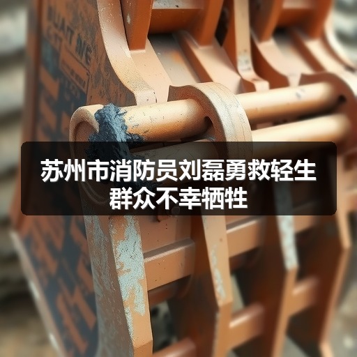 苏州市消防员刘磊勇救轻生群众不幸牺牲
