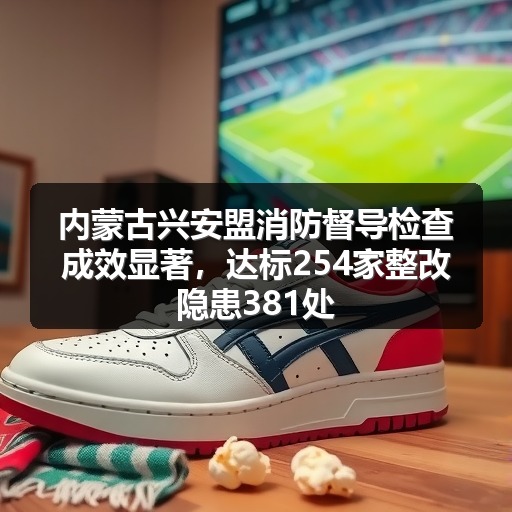 内蒙古兴安盟消防督导检查成效显著,达标254家整改隐患381处