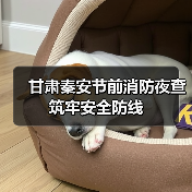 甘肃秦安节前消防夜查筑牢安全防线（图2）