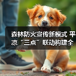 森林防火宣传新模式 平凉“三点”联动构建全媒体立体化体系(图3) 森林防火宣传新模式 平凉“三点”联动构建全媒体立体化体系(图3)