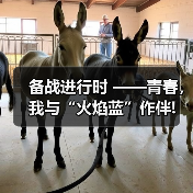 备战进行时 ——青春,我与“火焰蓝”作伴!(图4) 备战进行时 ——青春,我与“火焰蓝”作伴!(图4)