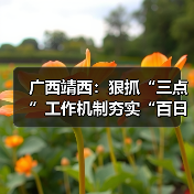 广西靖西:狠抓“三点”工作机制夯实“百日安全创建”根基(图4) 广西靖西:狠抓“三点”工作机制夯实“百日安全创建”根基(图4)