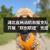 湖北宜昌消防救援支队开展“联创联建”党建工作（图4）