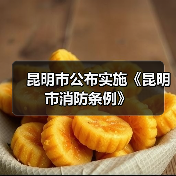 昆明市公布实施《昆明市消防条例》（图4）