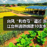 台风“利奇马”逼近 浙江台州消防组建10支水域抢险救援突击队严阵以待(图3) 台风“利奇马”逼近 浙江台州消防组建10支水域抢险救援突击队严阵以待(图3)
