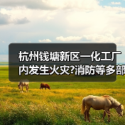 杭州钱塘新区一化工厂内发生火灾?消防等多部门联合成功处置(图2) 杭州钱塘新区一化工厂内发生火灾?消防等多部门联合成功处置(图2)