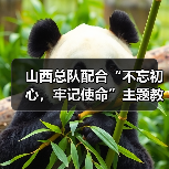山西总队配合“不忘初心，牢记使命”主题教育深入支队调研指导（图4）