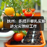 抚州:多措并举扎实推进火灾防控工作(图3) 抚州:多措并举扎实推进火灾防控工作(图3)