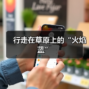 行走在草原上的“火焰蓝”(图3) 行走在草原上的“火焰蓝”(图3)
