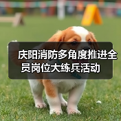 庆阳消防多角度推进全员岗位大练兵活动(图1) 庆阳消防多角度推进全员岗位大练兵活动(图1)