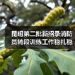 昆明第二批新招录消防员转段训练工作稳扎稳打(图4) 昆明第二批新招录消防员转段训练工作稳扎稳打(图4)
