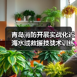 青岛消防开展实战化近海水域救援技战术训练（图3）