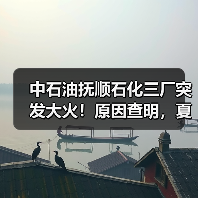 中石油抚顺石化三厂突发大火!原因查明,夏季一定要小心它(图1) 中石油抚顺石化三厂突发大火!原因查明,夏季一定要小心它(图1)