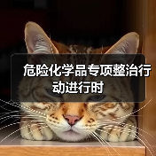 危险化学品专项整治行动进行时（图3）