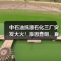 中石油抚顺石化三厂突发大火!原因查明,夏季一定要小心它(图2) 中石油抚顺石化三厂突发大火!原因查明,夏季一定要小心它(图2)