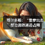 鄂尔多斯：“重拳出击”整治消防通道占用（图1）
