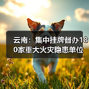 云南：集中挂牌督办180家重大火灾隐患单位（图1）
