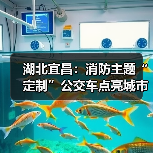 湖北宜昌：消防主题“定制”公交车点亮城市风景线（图2）